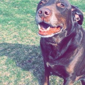 Meet your Posher, Tracee